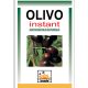 OLIVO INSTANT