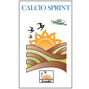 CALCIO SPRINT